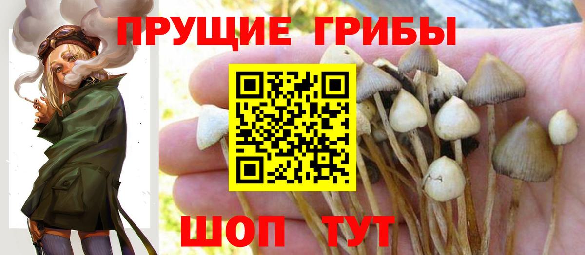 Всеволожск  Псилоцибиновые грибы Cubensis  Вход с VPN  купить наркотики сайты  Псилоцибиновые грибы MAGIC MUSHROOMS 